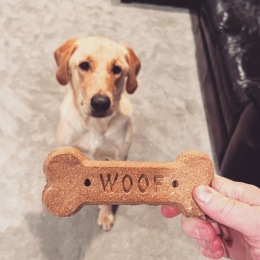 We have confirmation that our newest pet feature, @barkbuildings, has been approved by official @inkblockboston Treat Tester, Goose. 12 out of 10 ⭐️⭐️⭐️ . . . . . #ThINK #BarkBuildings #PetsInBoston #bostondogs #bostondogsofinstagram #dogspotting #InkBlock #SouthEnd Instagram post from @inkblockboston on October 22, 2022 00:00:00am